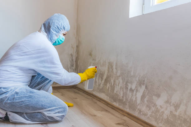 Commercial Mold Remediation assessment for commercial property in Millington