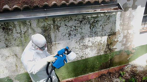 Clearance testing in Millington